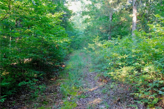 000 Madison Unit 2305, Huntsville, AR 72740 - photo 12