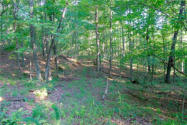 000 Madison Unit 2305, Huntsville, AR 72740 - photo 13