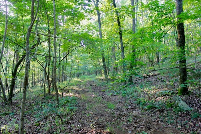 000 Madison Unit 2305, Huntsville, AR 72740 - photo 15