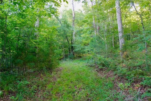 000 Madison Unit 2305, Huntsville, AR 72740 - photo 19