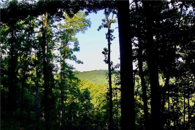 000 Madison Unit 2305, Huntsville, AR 72740 - photo 21