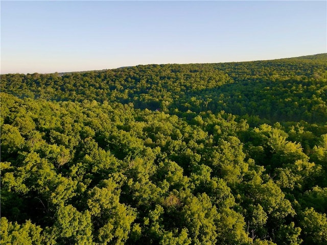 000 Madison Unit 2305, Huntsville, AR 72740 - photo 3