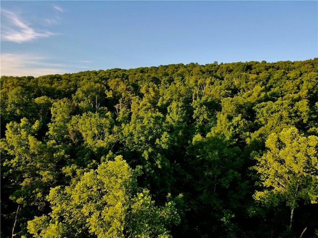 000 Madison Unit 2305, Huntsville, AR 72740 - photo 8