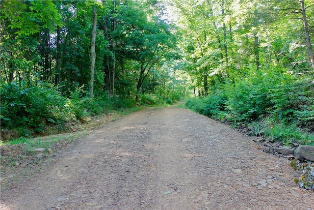 000 Madison Unit 2305, Huntsville, AR 72740 - photo 28