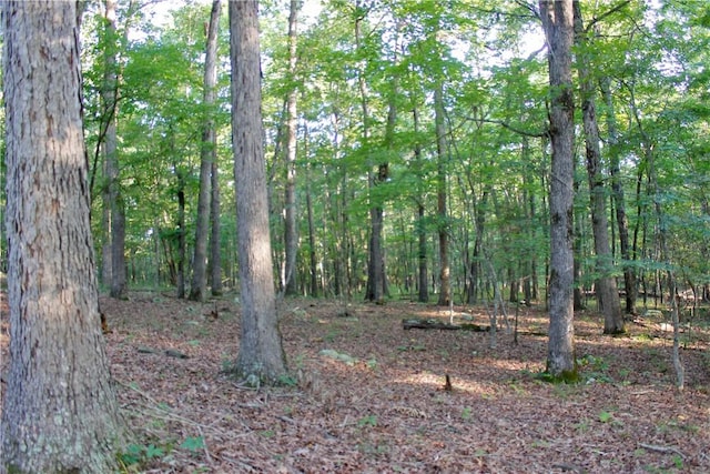 000 Madison Unit 2305, Huntsville, AR 72740 - photo 31