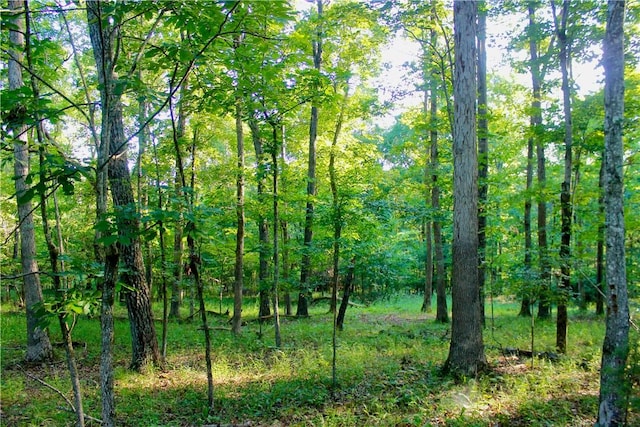 000 Madison Unit 2305, Huntsville, AR 72740 - photo 32