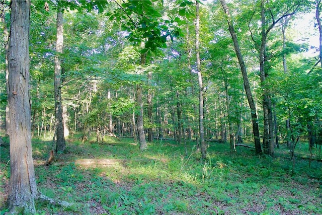 000 Madison Unit 2305, Huntsville, AR 72740 - photo 34