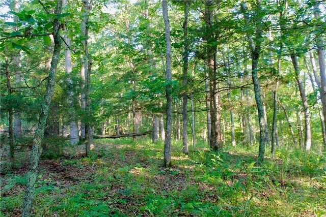 000 Madison Unit 2305, Huntsville, AR 72740 - photo 37