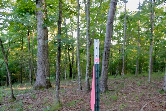 000 Madison Unit 2305, Huntsville, AR 72740 - photo 43