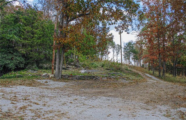 1770 Mc 5026, Valley Springs, AR 72682 - photo 3