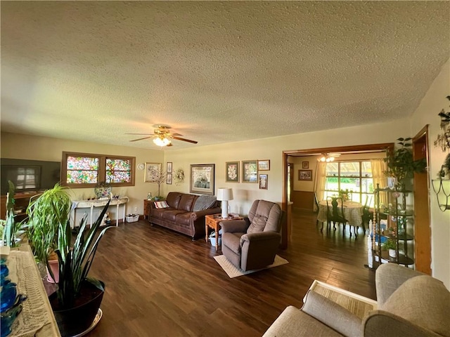 715 Montgomery St, Clarksville, AR 72830 - photo 8