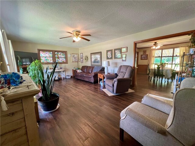 715 Montgomery St, Clarksville, AR 72830 - photo 9