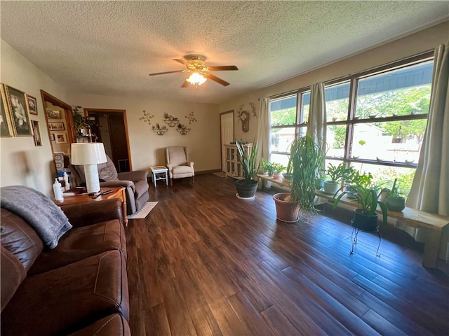 715 Montgomery St, Clarksville, AR 72830 - photo 3