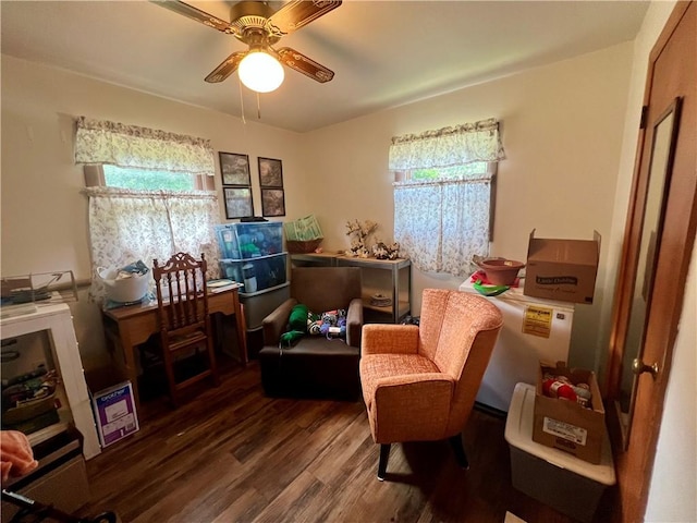 715 Montgomery St, Clarksville, AR 72830 - photo 15