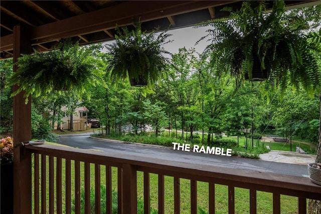 303 S Gregg Ave, Fayetteville, AR 72701 - photo 3