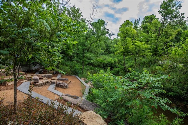 303 S Gregg Ave, Fayetteville, AR 72701 - photo 55