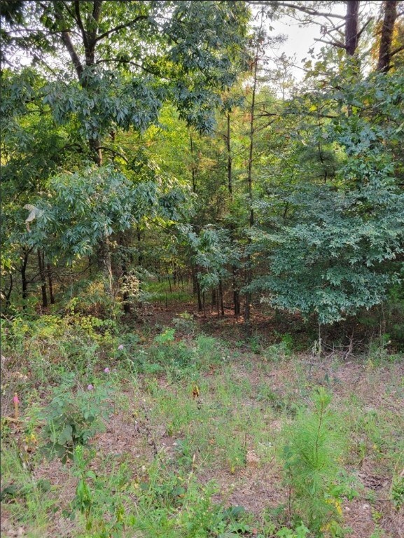 LOT7 Scotsdale Dr, Bella Vista, AR 72715 - photo 1