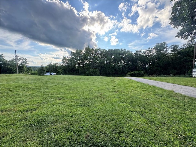 46 NC-6085, Jasper, AR 72641 - photo 6