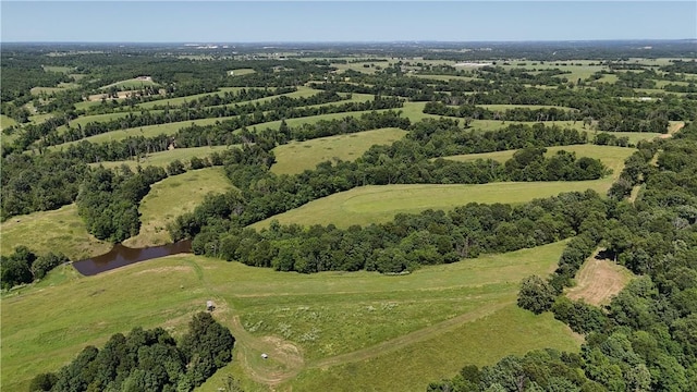 14100 Gailey Hollow Rd, Siloam Springs, AR 72761 - photo 10