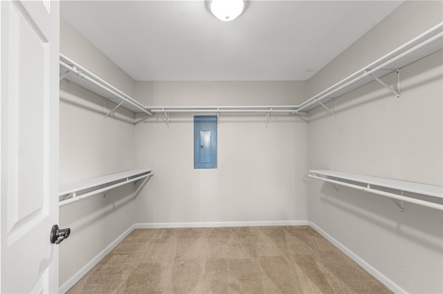 603 Thomas Blvd, Springdale, AR 72762 - spacious closet featuring electric panel and carpet floors