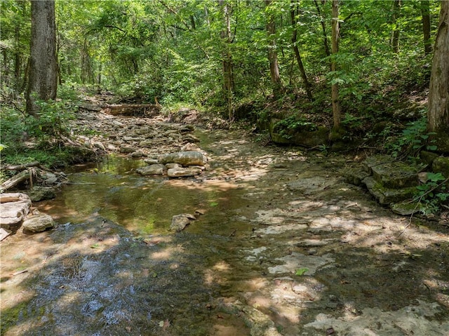 000 NC-2900 Ave, Marble Falls, AR 72648 - photo 10