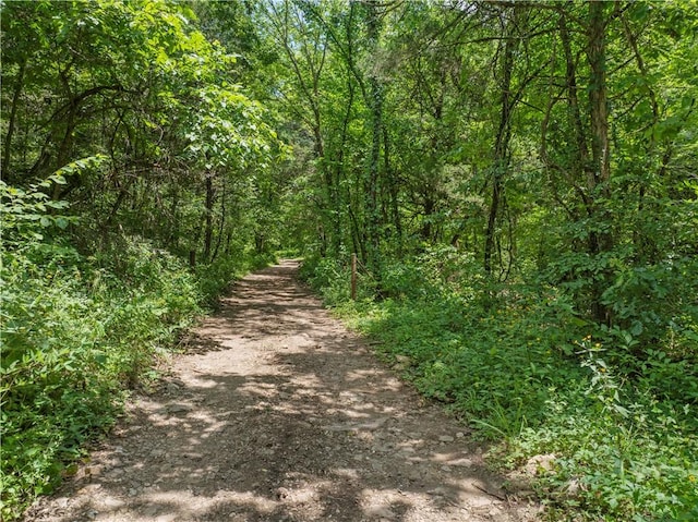 000 NC-2900 Ave, Marble Falls, AR 72648 - photo 8