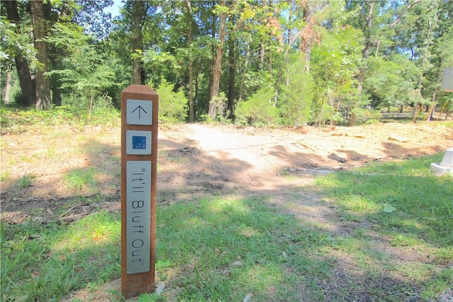10 Tennyson Ln, Bella Vista, AR 72714 - photo 42