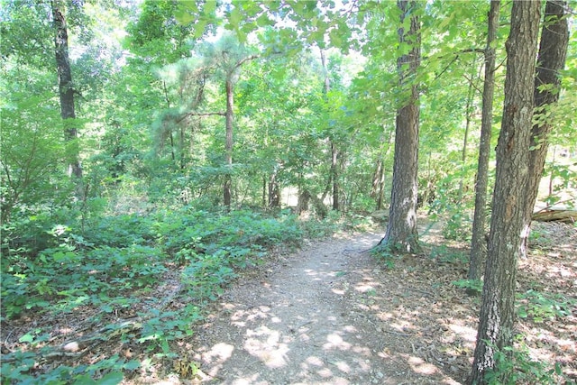 10 Tennyson Ln, Bella Vista, AR 72714 - photo 43