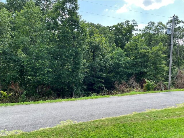 LOT13, BLOCK4 Allonby Cir, Bella Vista, AR 72714 - photo 3