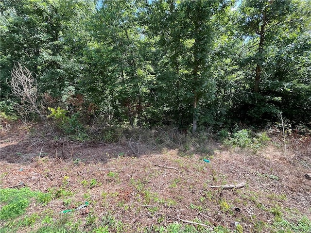 LOT13, BLOCK4 Allonby Cir, Bella Vista, AR 72714 - photo 4