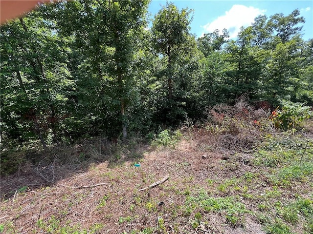LOT13, BLOCK4 Allonby Cir, Bella Vista, AR 72714 - photo 5