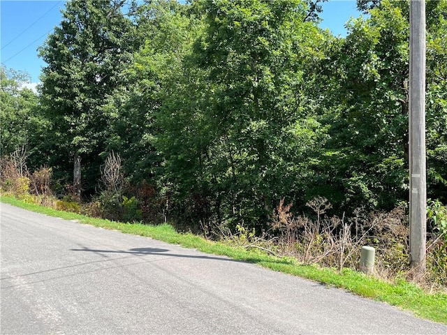 LOT13, BLOCK4 Allonby Cir, Bella Vista, AR 72714 - photo 8