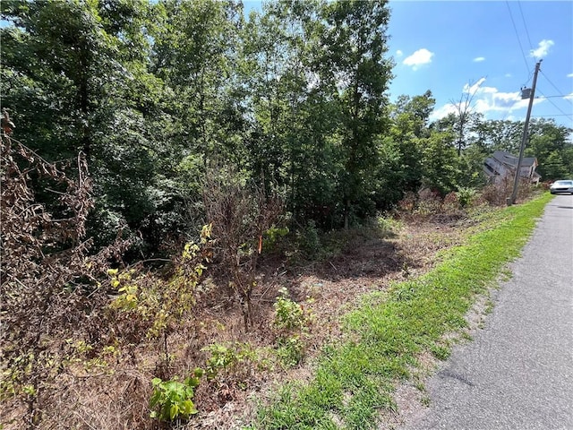 LOT13, BLOCK4 Allonby Cir, Bella Vista, AR 72714 - photo 7