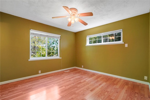 4295 W Martin Luther King Blvd, Fayetteville, AR 72704 - photo 4
