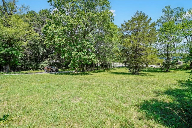 4295 W Martin Luther King Blvd, Fayetteville, AR 72704 - photo 6