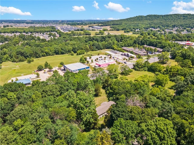 4295 W Martin Luther King Blvd, Fayetteville, AR 72704 - photo 12