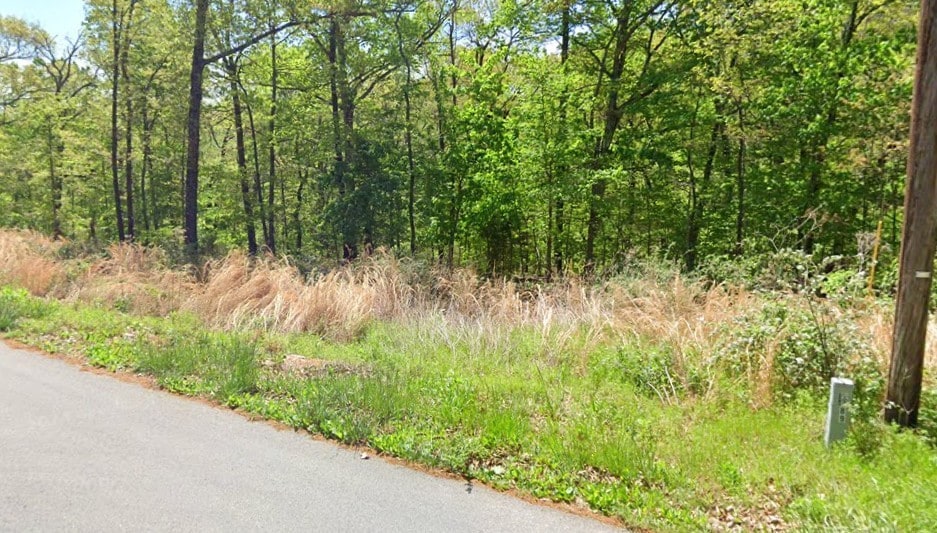 LOT2 Selkirk Dr, Bella Vista, AR 72715 - photo 2