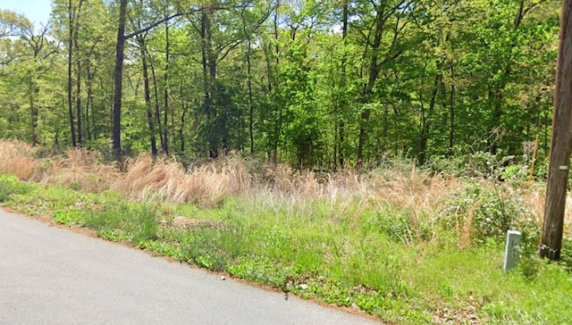 LOT2 Selkirk Dr, Bella Vista, AR 72715 - photo 2
