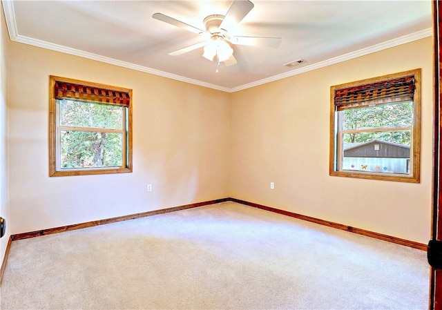 19135 Shoreline Way, Fayetteville, AR 72703 - unfurnished room with healthy amount of natural light, carpet flooring, ornamental molding, and ceiling fan