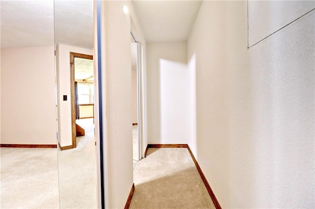 19135 Shoreline Way, Fayetteville, AR 72703 - hall with carpet and baseboards