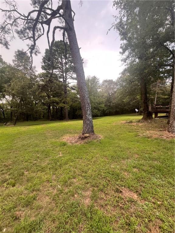 70 Longcole Pl, Russellville, AR 72802 - photo 10