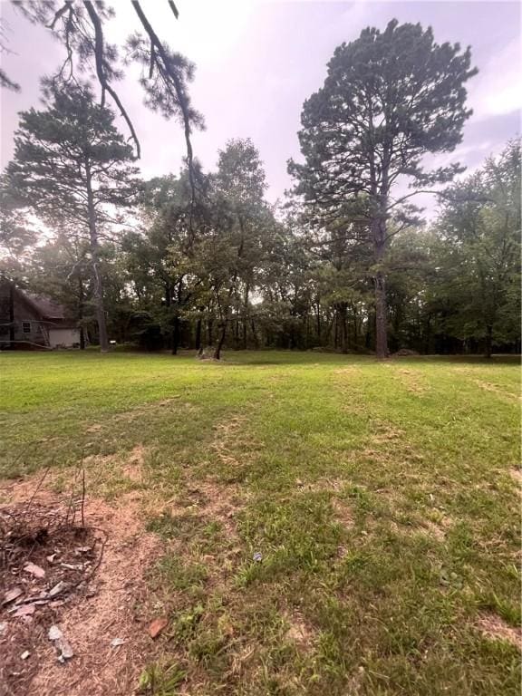 70 Longcole Pl, Russellville, AR 72802 - photo 11