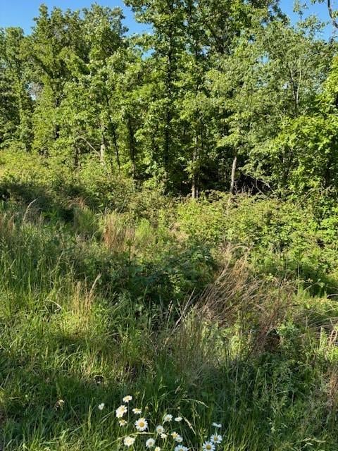 Cromarty Dr, Bella Vista, AR 72715 - photo 1