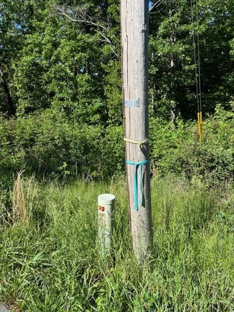 Cromarty Dr, Bella Vista, AR 72715 - photo 2