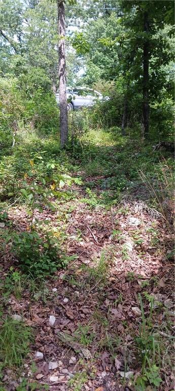 Cromarty Dr, Bella Vista, AR 72715 - photo 4