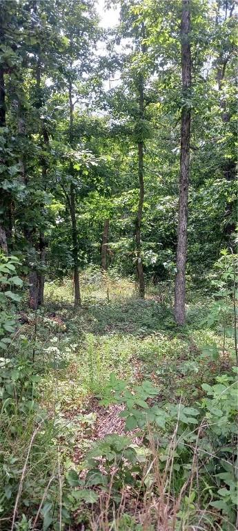 Cromarty Dr, Bella Vista, AR 72715 - photo 5
