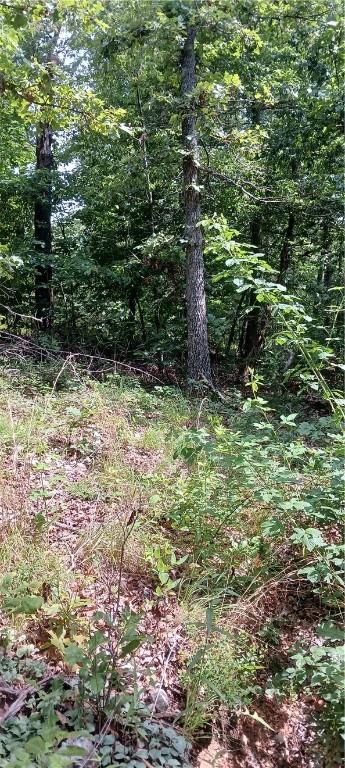 Cromarty Dr, Bella Vista, AR 72715 - photo 8
