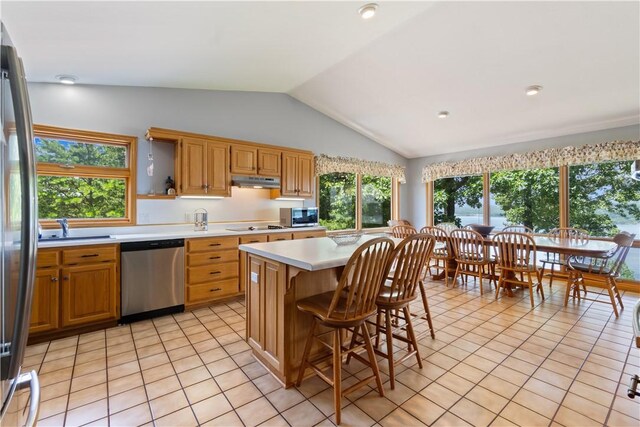 188 Point Mirage Rd, Eureka Springs, AR 72631 - kitchen with stainless steel appliances, vaulted ceiling, light countertops, light tile patterned flooring, and healthy amount of natural light