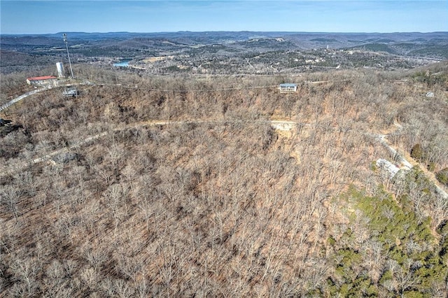 18 Hawk Dr, Holiday Island, AR 72631 - photo 15