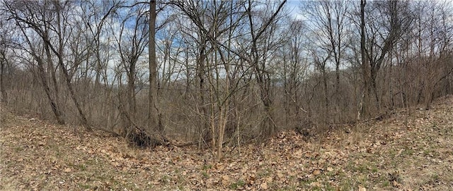 18 Hawk Dr, Holiday Island, AR 72631 - photo 20